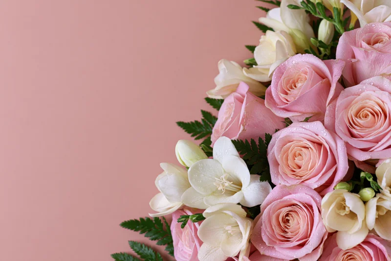 Pink roses and white freesias arranged in a bouquet with green ferns on a soft pink background