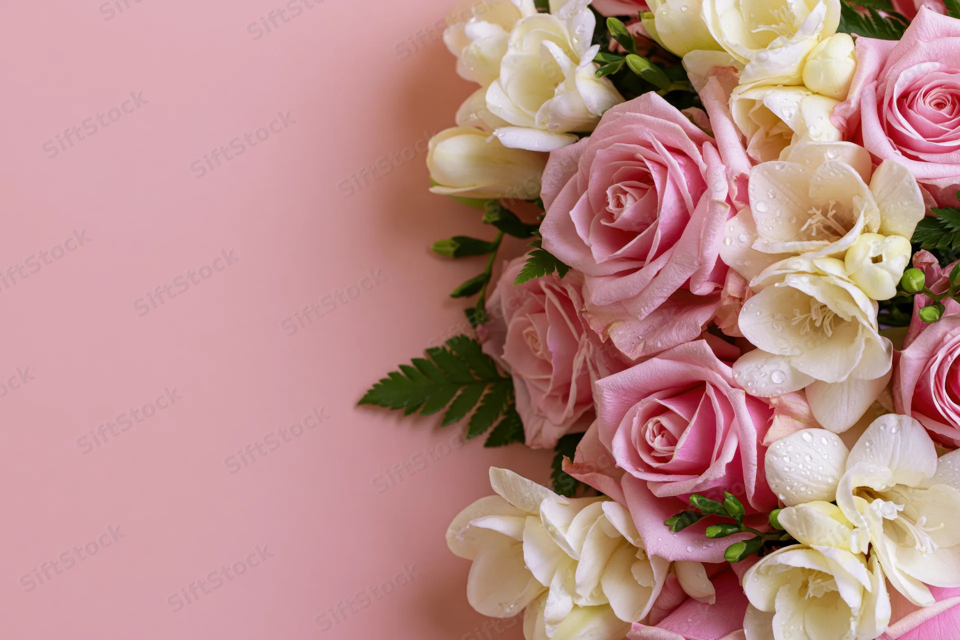 Pink roses and white freesias arranged with green ferns on a soft pink surface