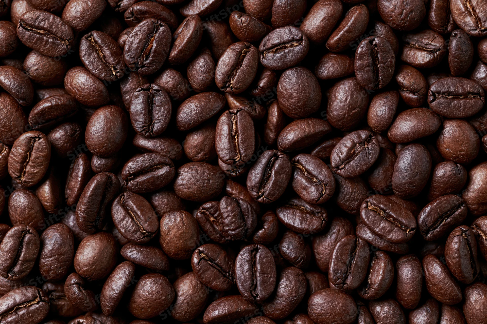 Dark roasted coffee beans filling the frame in a close-up view