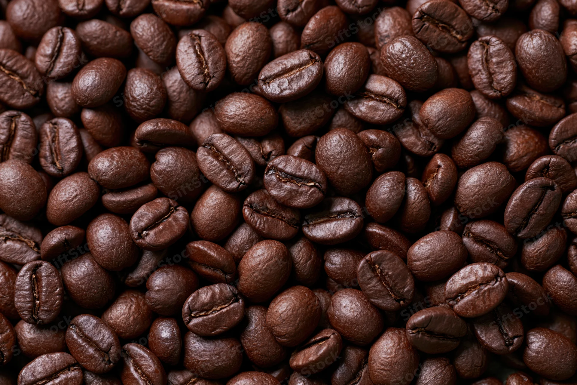 Dark roasted coffee beans filling the frame in a close-up view