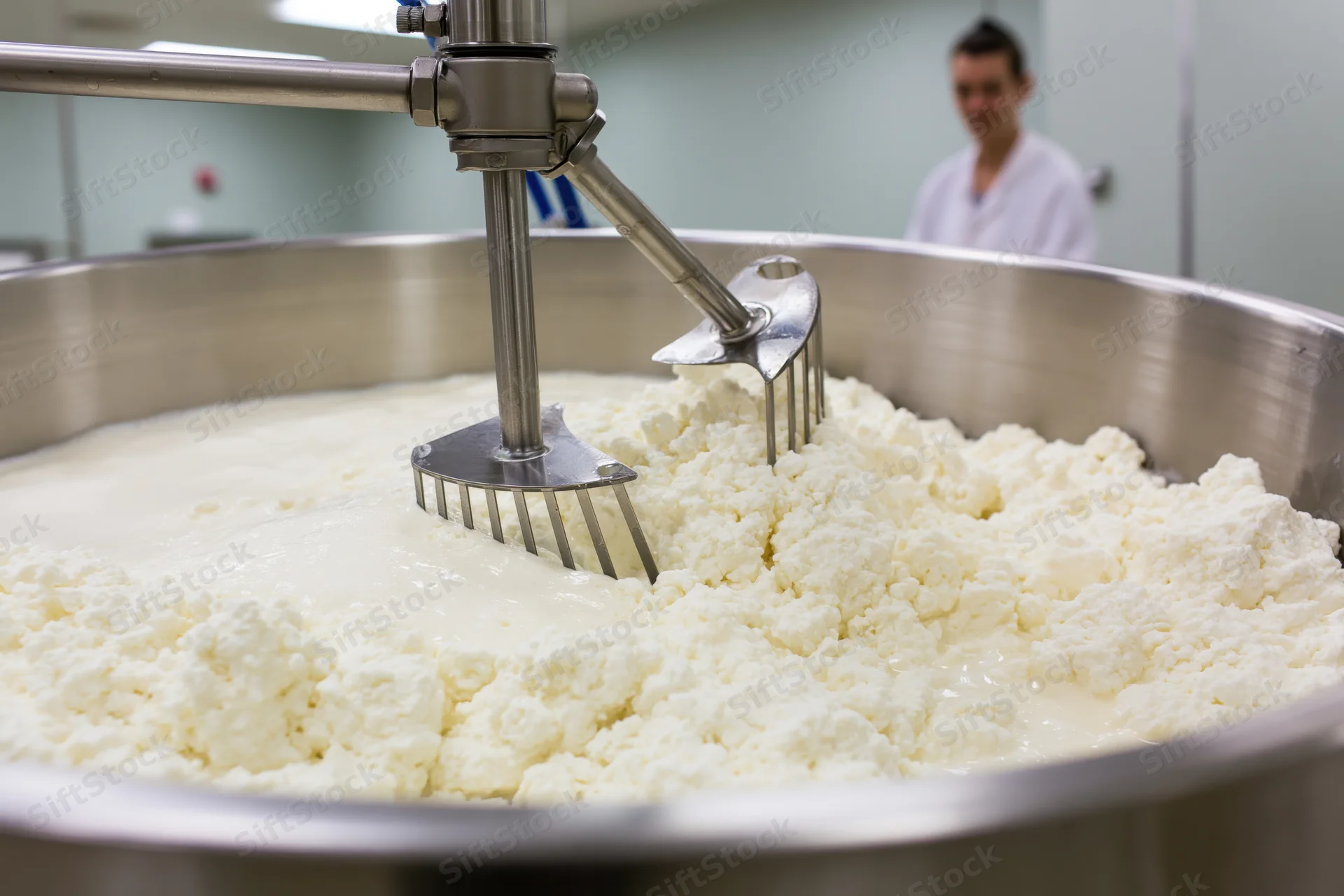 Stainless steel vat mixing curds and whey in a dairy processing plant with a worker in the background