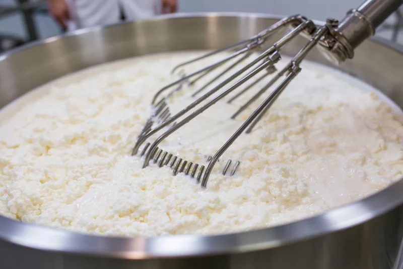 Stainless steel vat filled with white curds being mixed by a mechanical whisk in a dairy production facility