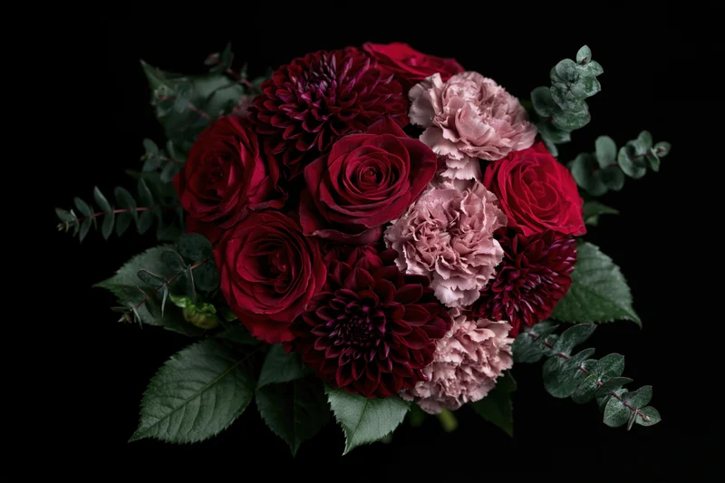 Lush bouquet of deep red roses, burgundy dahlias, and dusty pink carnations with green eucalyptus leaves on black background
