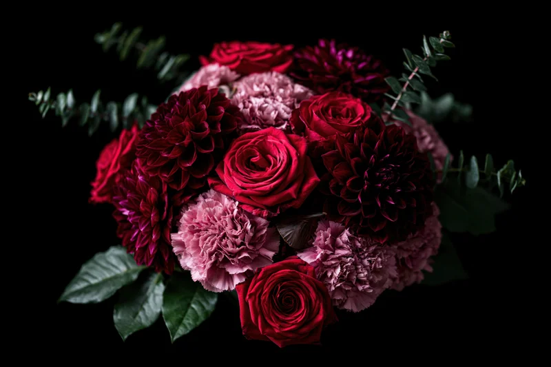 Lush bouquet of deep red roses and burgundy dahlias with dusty pink carnations and green foliage on black background