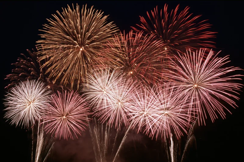 Multiple fireworks bursting simultaneously across a dark night sky