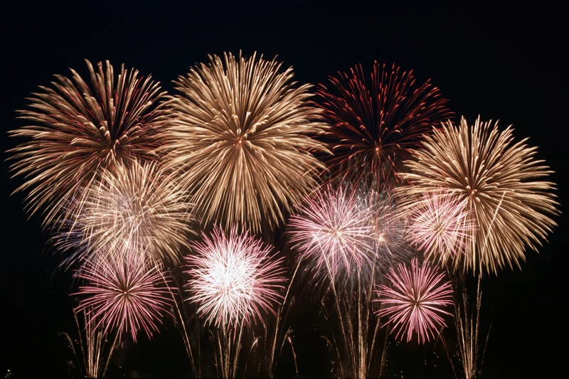 Multiple fireworks bursting simultaneously across a dark night sky