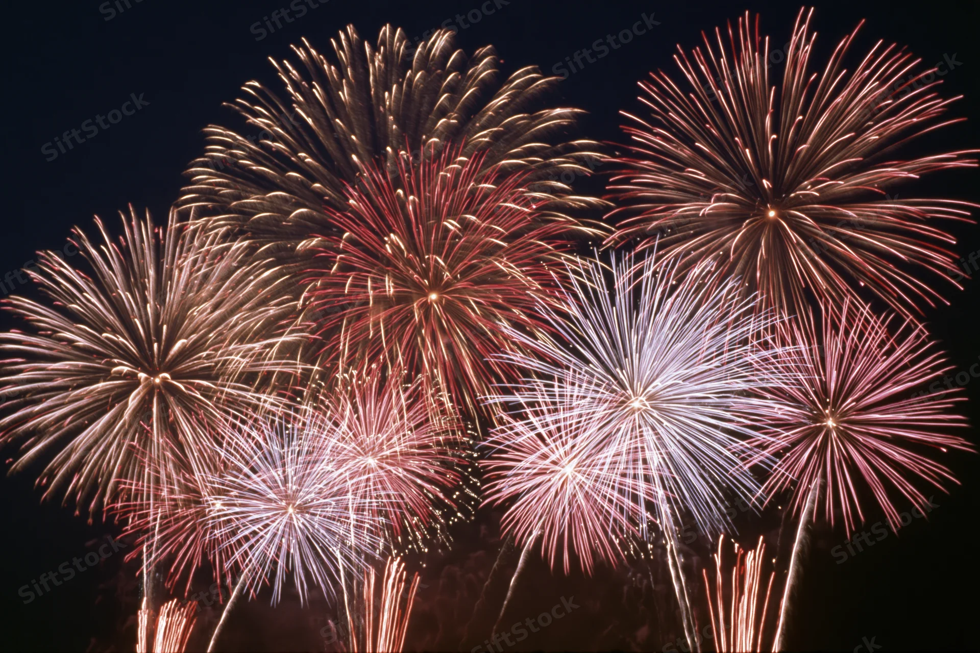 Multiple fireworks bursting simultaneously across a dark night sky