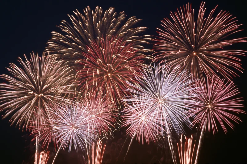 Multiple fireworks bursting simultaneously across a dark night sky