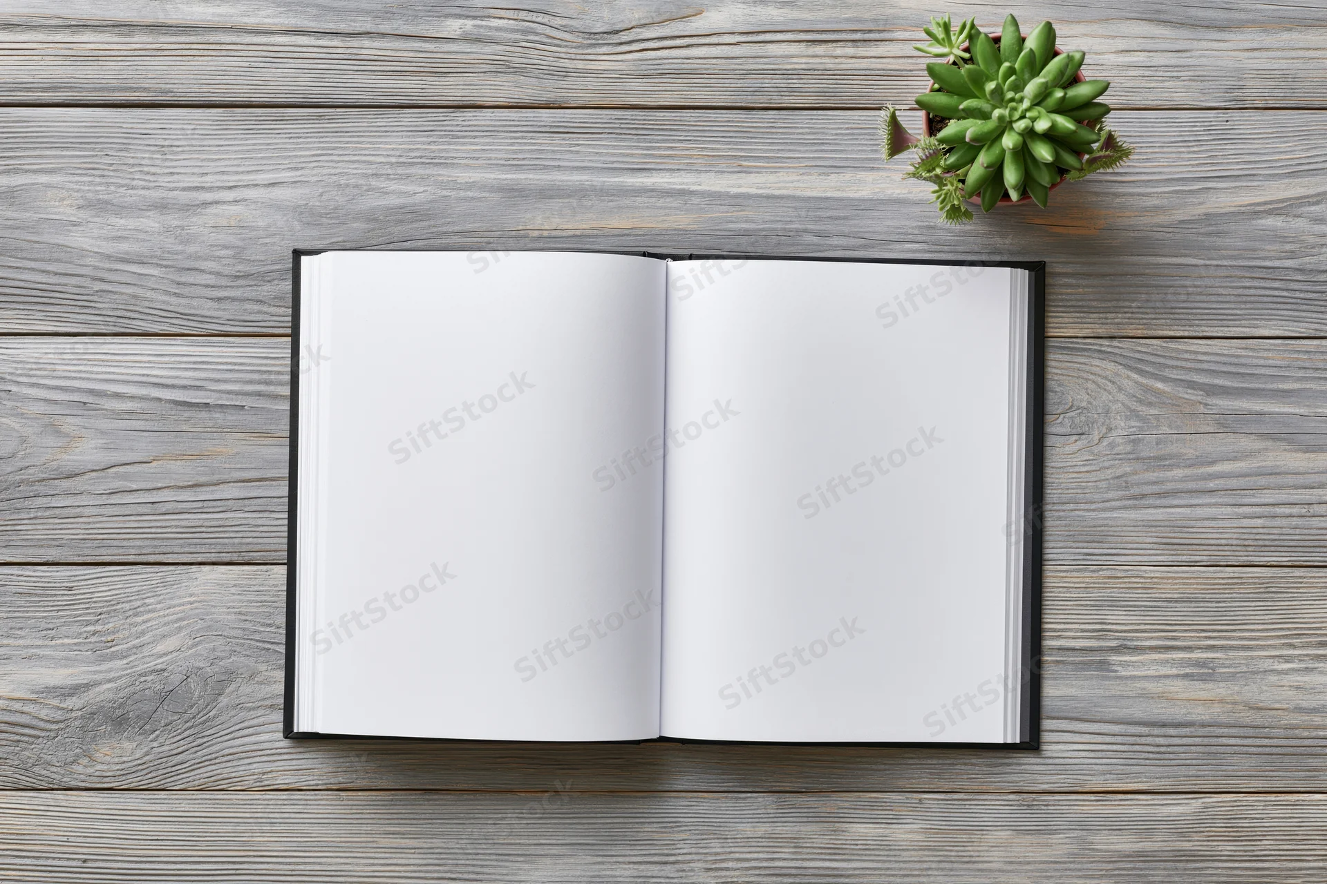 Open hardcover book with blank white pages lying flat on a gray wooden surface beside a small potted succulent