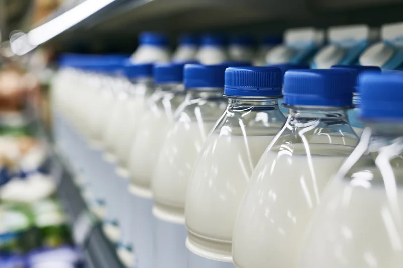 Rows of clear plastic milk bottles with blue caps lined up on a refrigerated grocery store shelf