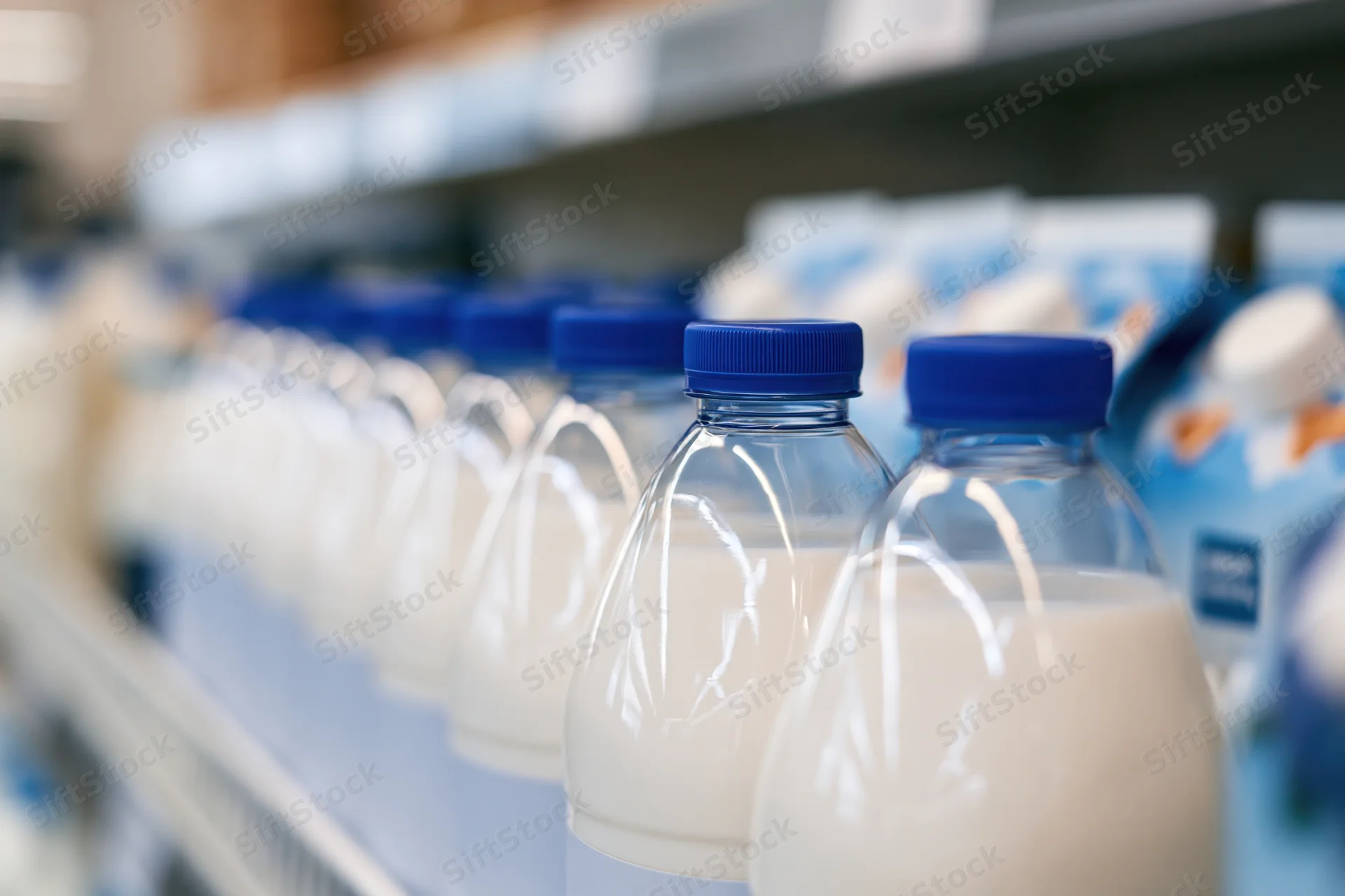 Rows of clear plastic milk bottles with blue caps lined up on a refrigerated grocery shelf
