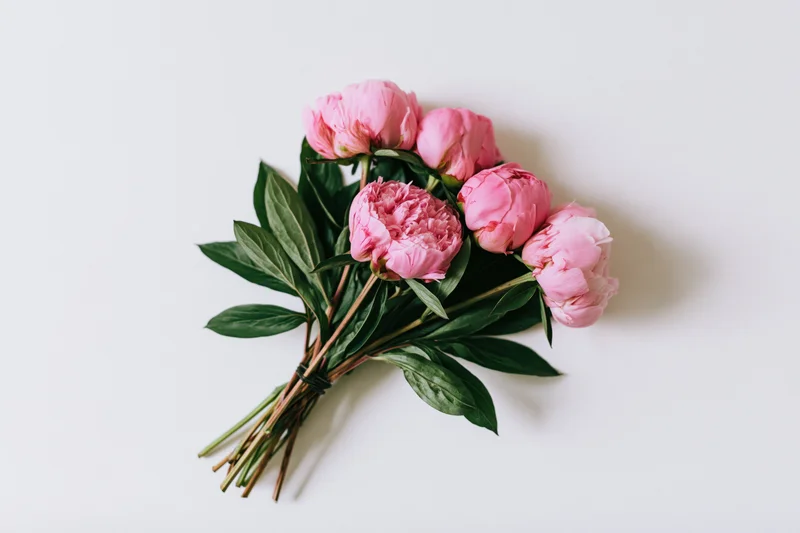Small bouquet of pink peonies with green leaves laid flat on white surface