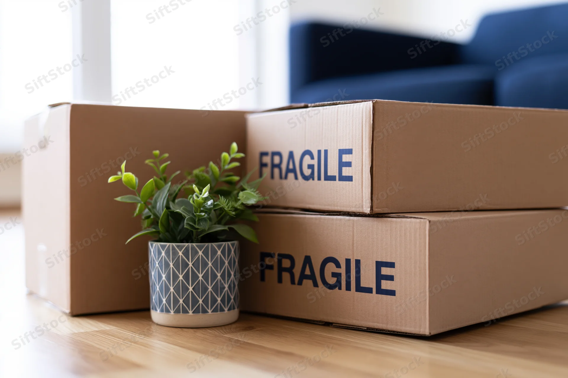 Stack of brown cardboard moving boxes labeled fragile on wooden floor beside potted plant in living room