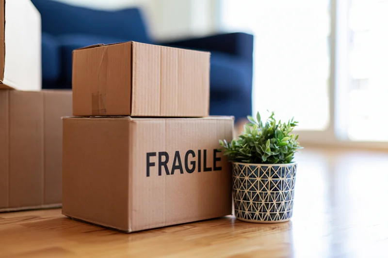 Stack of brown cardboard moving boxes labeled fragile on wooden floor beside potted plant