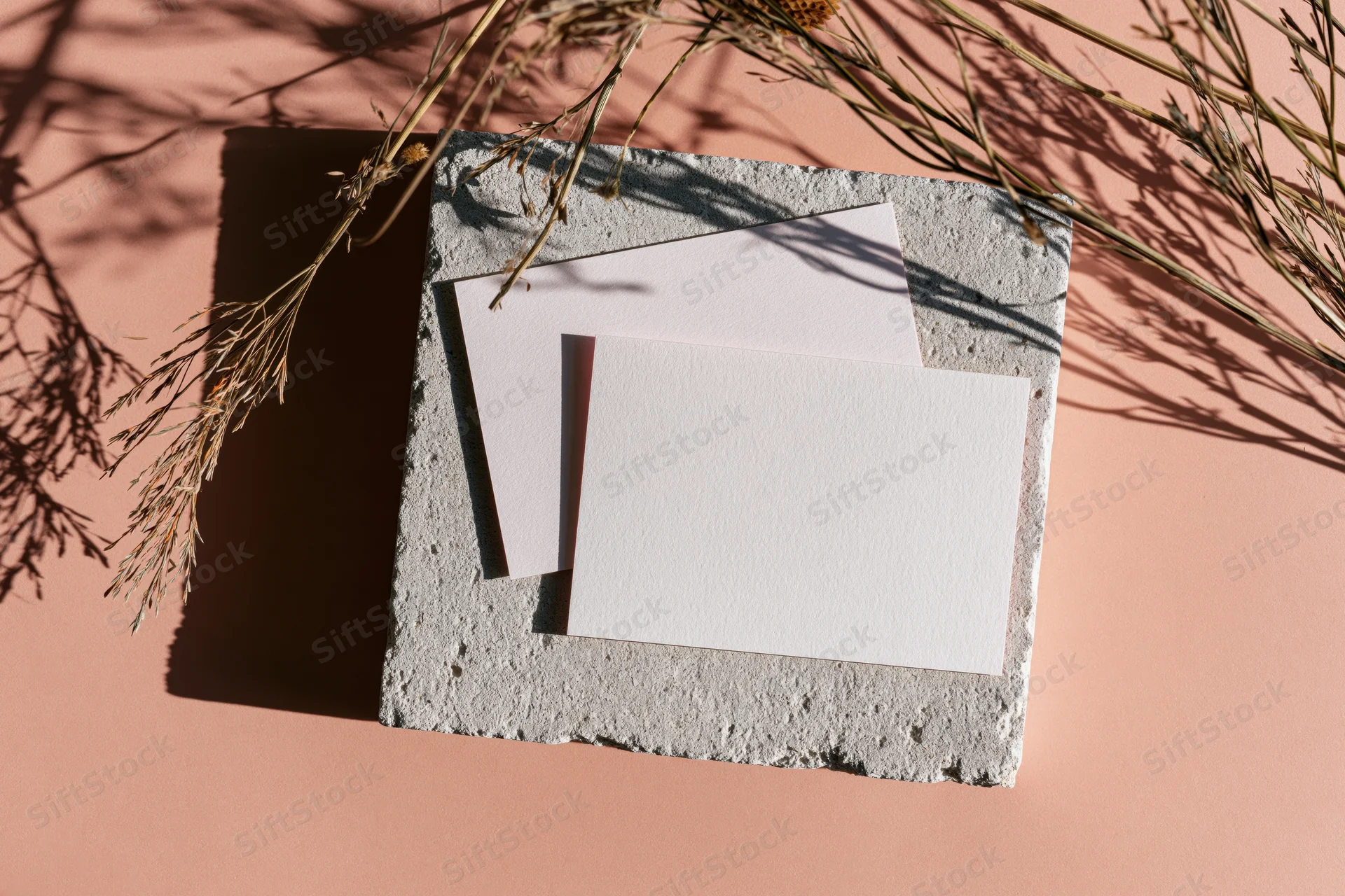 Two blank white cards on a rough concrete slab with dried branches and shadows in soft sunlight