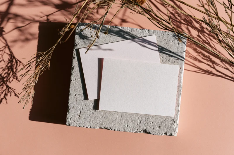 Two blank white cards on a rough concrete slab with dried branches and shadows in soft sunlight