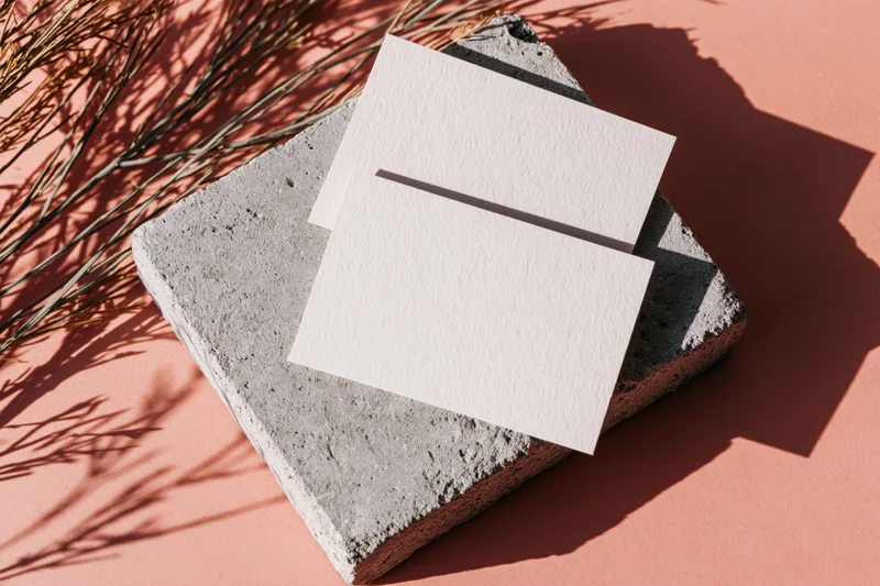 Two blank white cards resting on a rough grey concrete slab with dry branches and shadows on a pink surface