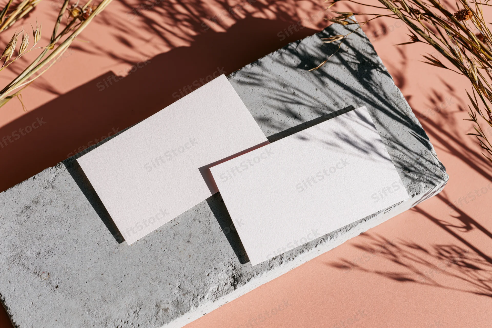 Two blank white business cards on a rough concrete slab with dried grass and shadows in a flat lay composition