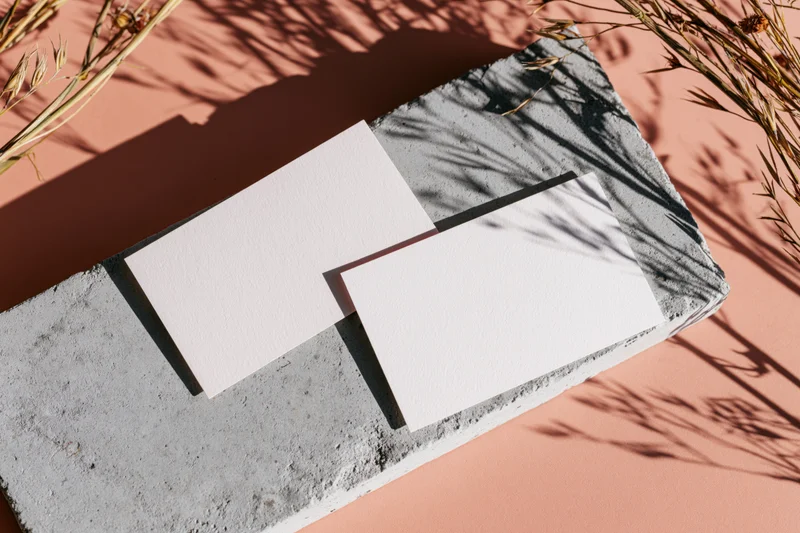 Two blank white business cards on a rough concrete slab with dried grass and shadows in a flat lay composition