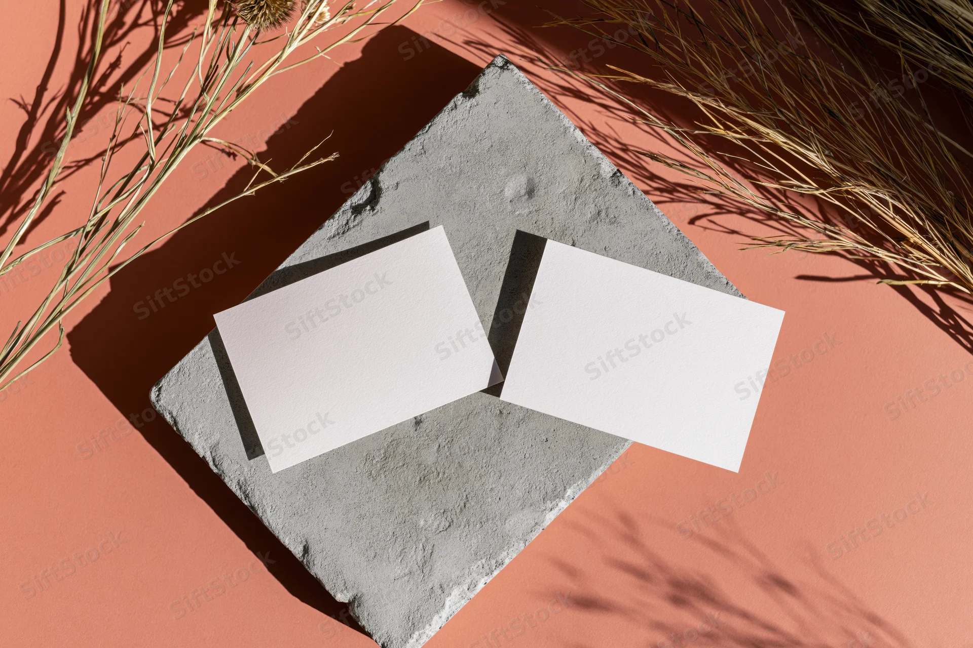 Two blank white cards on a rough concrete slab with dried plants and shadows, flat lay composition