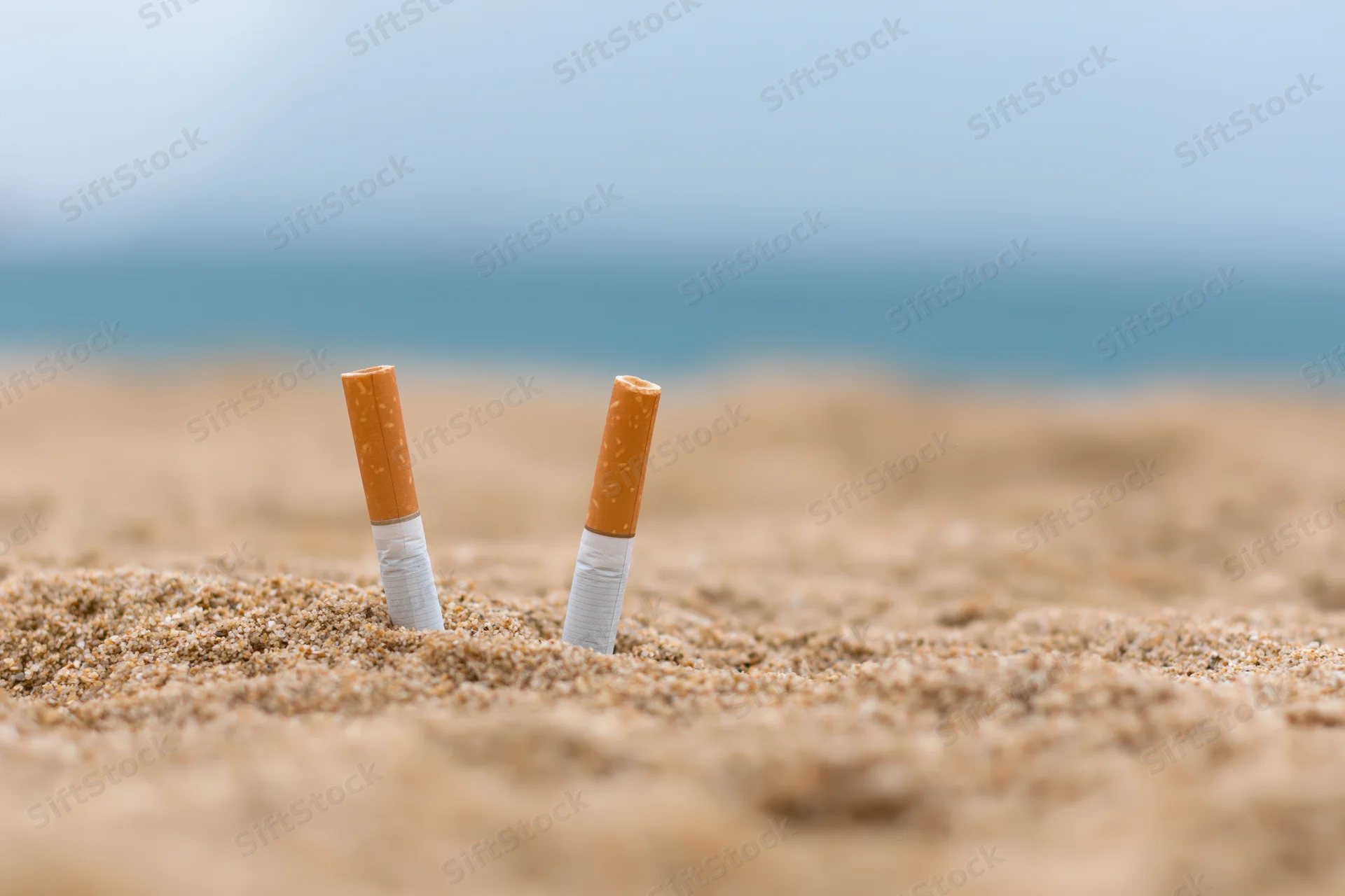 Two cigarette butts stuck upright in coarse beach sand near ocean