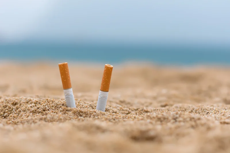 Two cigarette butts stuck upright in coarse beach sand near ocean