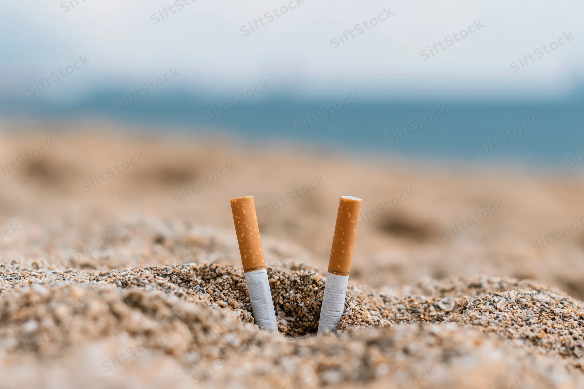 Two cigarette butts stuck upright in coarse beach sand near the ocean