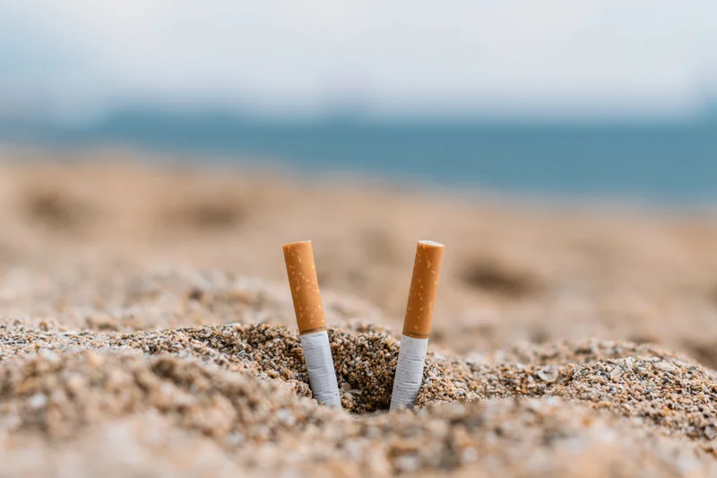Two cigarette butts stuck upright in coarse beach sand near the ocean