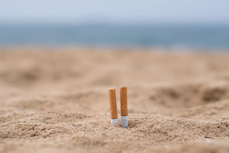Two cigarette butts stuck upright in coarse beach sand near ocean