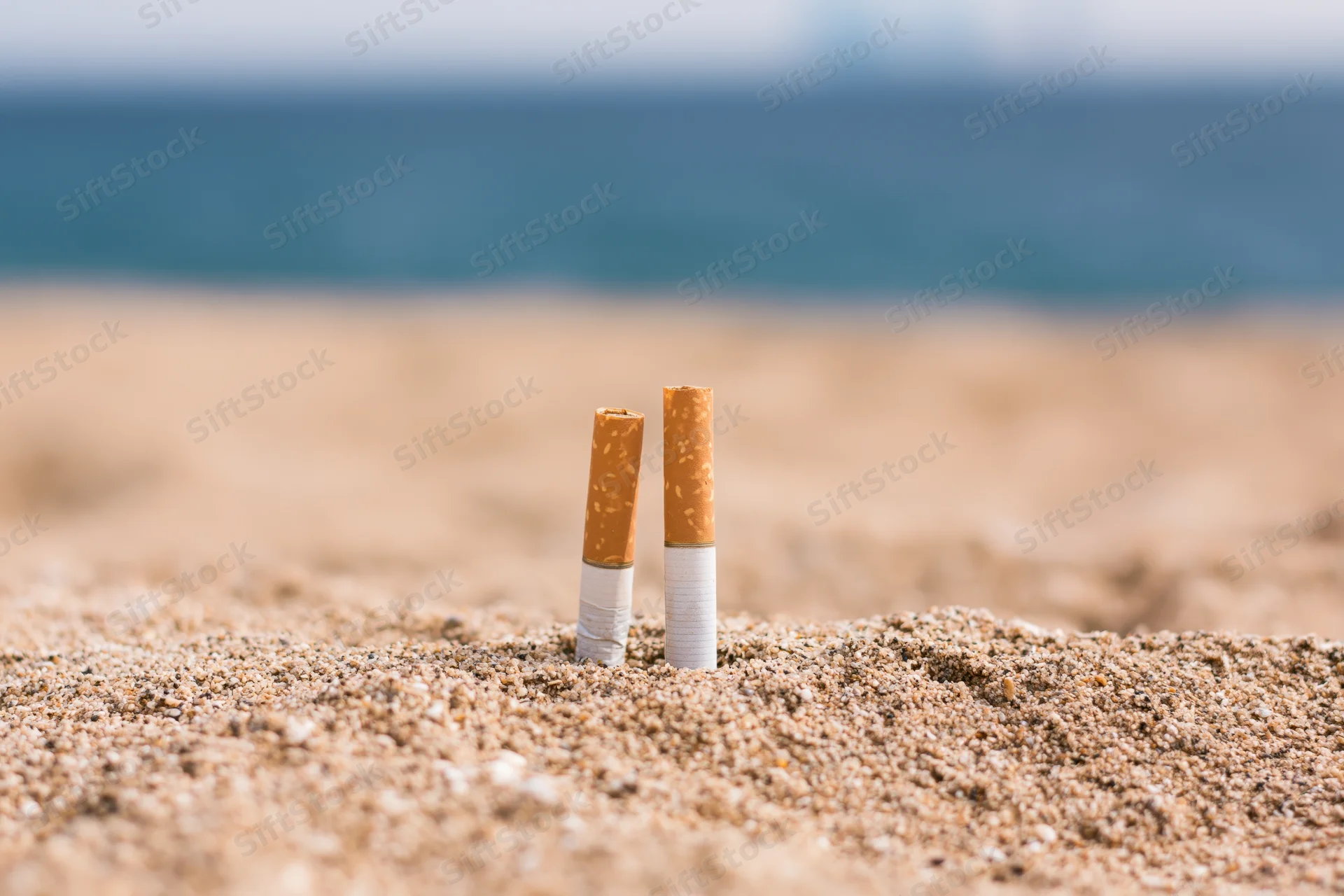 Two cigarette butts stuck upright in coarse beach sand near ocean