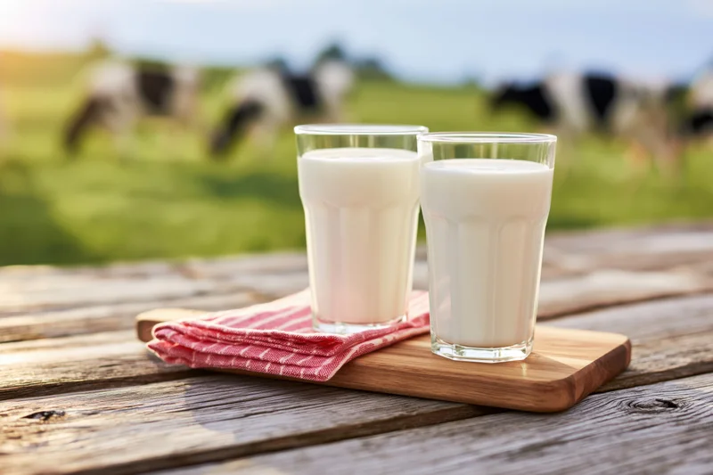 Two full glasses of fresh milk on a wooden cutting board outdoors with cows in a pasture behind