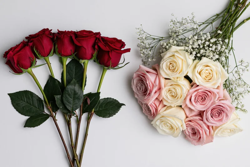 Two bouquets of red and pink white roses with baby's breath arranged side by side on white surface