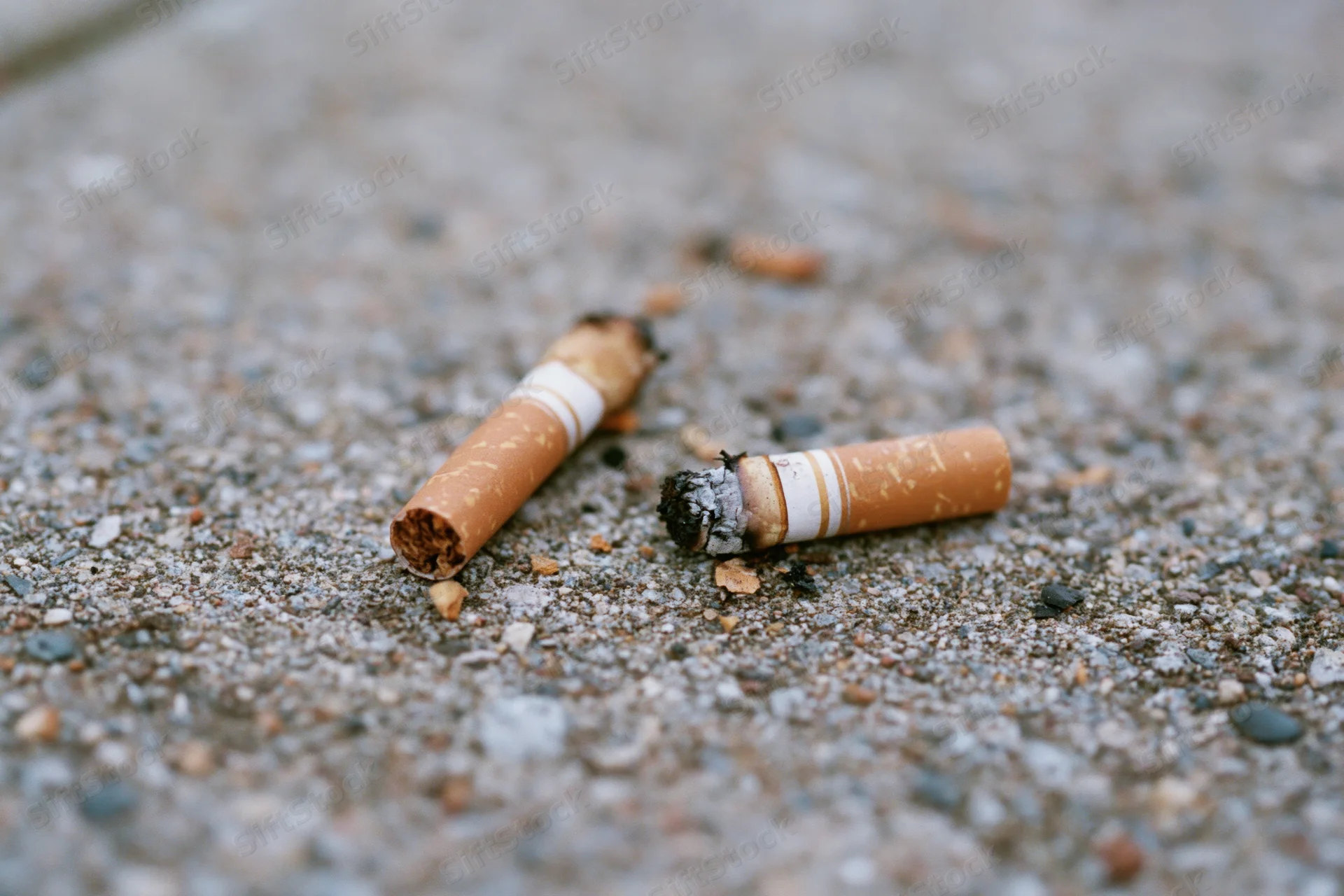 Two stubbed-out cigarette butts lying on rough concrete pavement