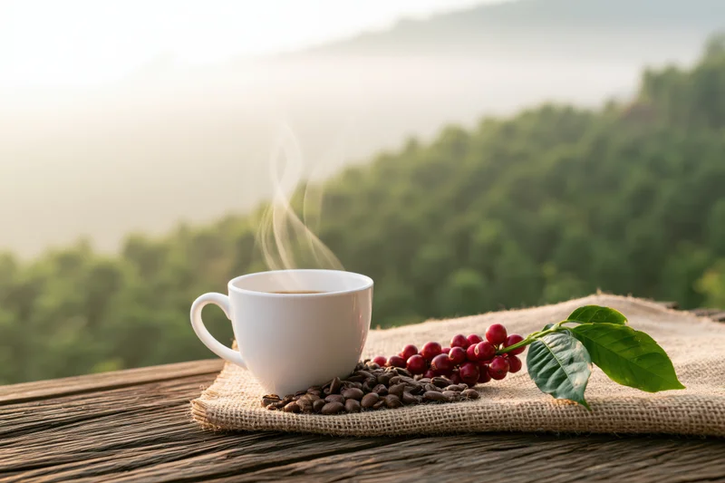 Steaming coffee cup with beans and cherries on burlap over wooden table overlooking green hills at sunrise
