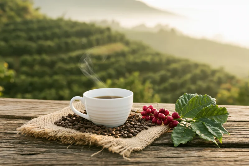 Steaming coffee cup with beans and cherries on burlap over wooden table overlooking green hills at sunrise