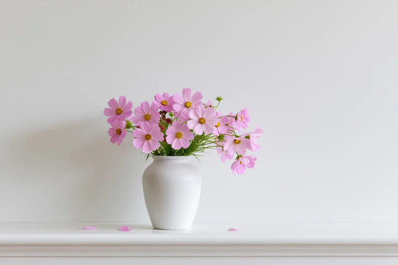 Pink cosmos flowers in a white ceramic vase on a white shelf