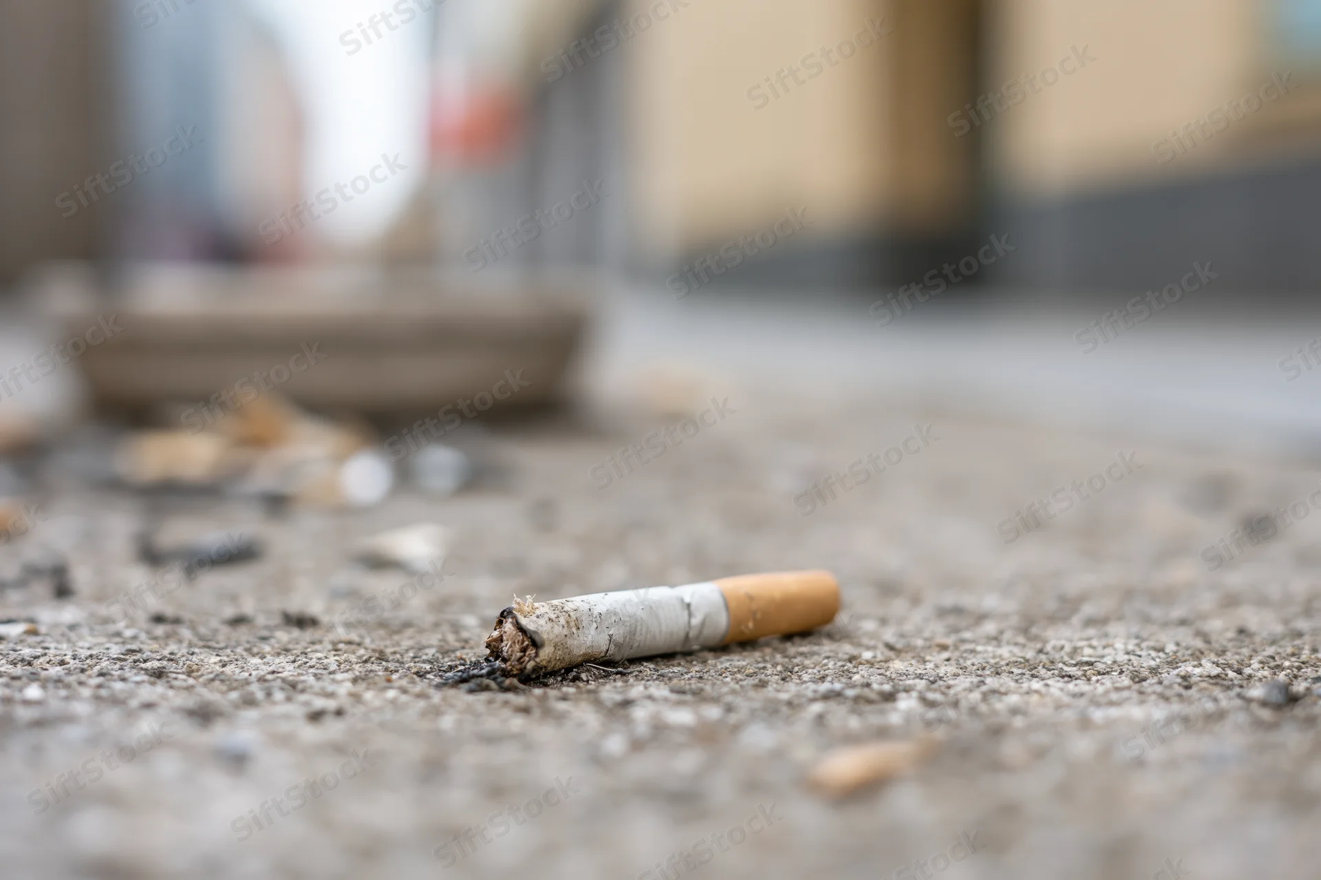 Cigarette butt stubbed out on concrete sidewalk closeup