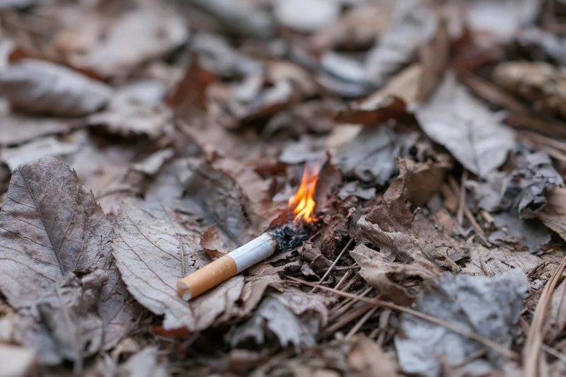 Burning cigarette butt among dry fallen leaves on forest floor