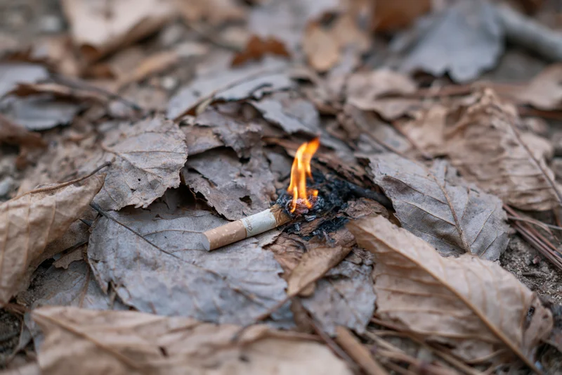 Burning cigarette butt among dry fallen leaves on forest ground