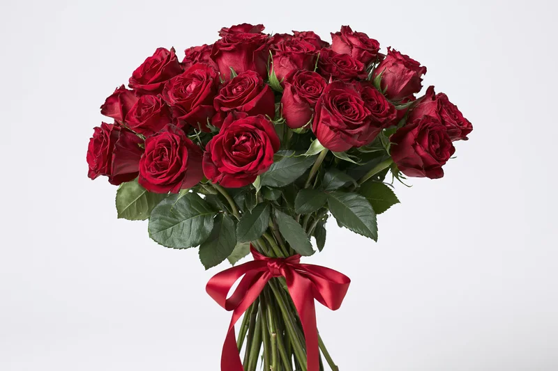 Large bouquet of deep red roses with green leaves and stems tied with a red satin ribbon against white background