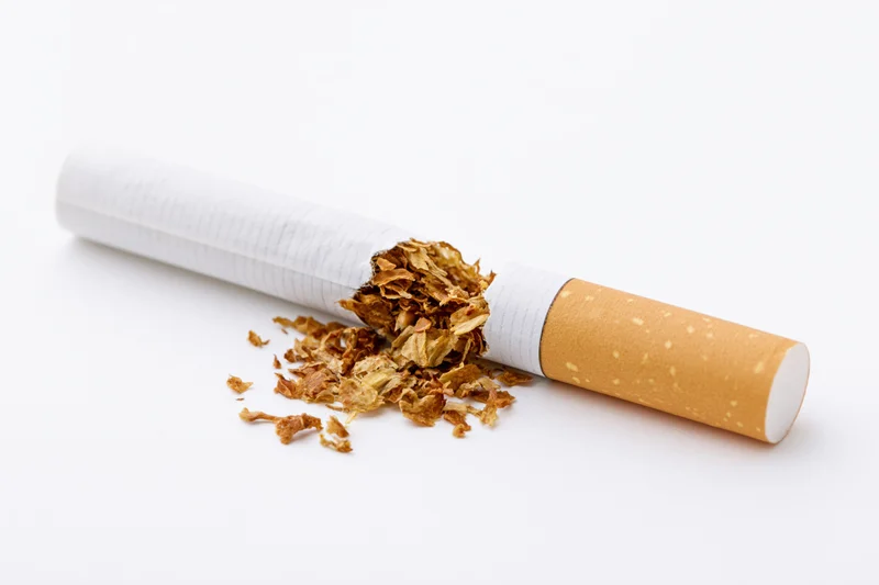 Broken cigarette with tobacco spilling out on white background