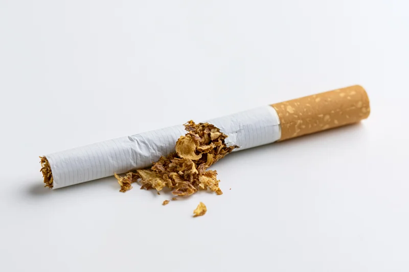 Broken cigarette with crumbled tobacco on white background