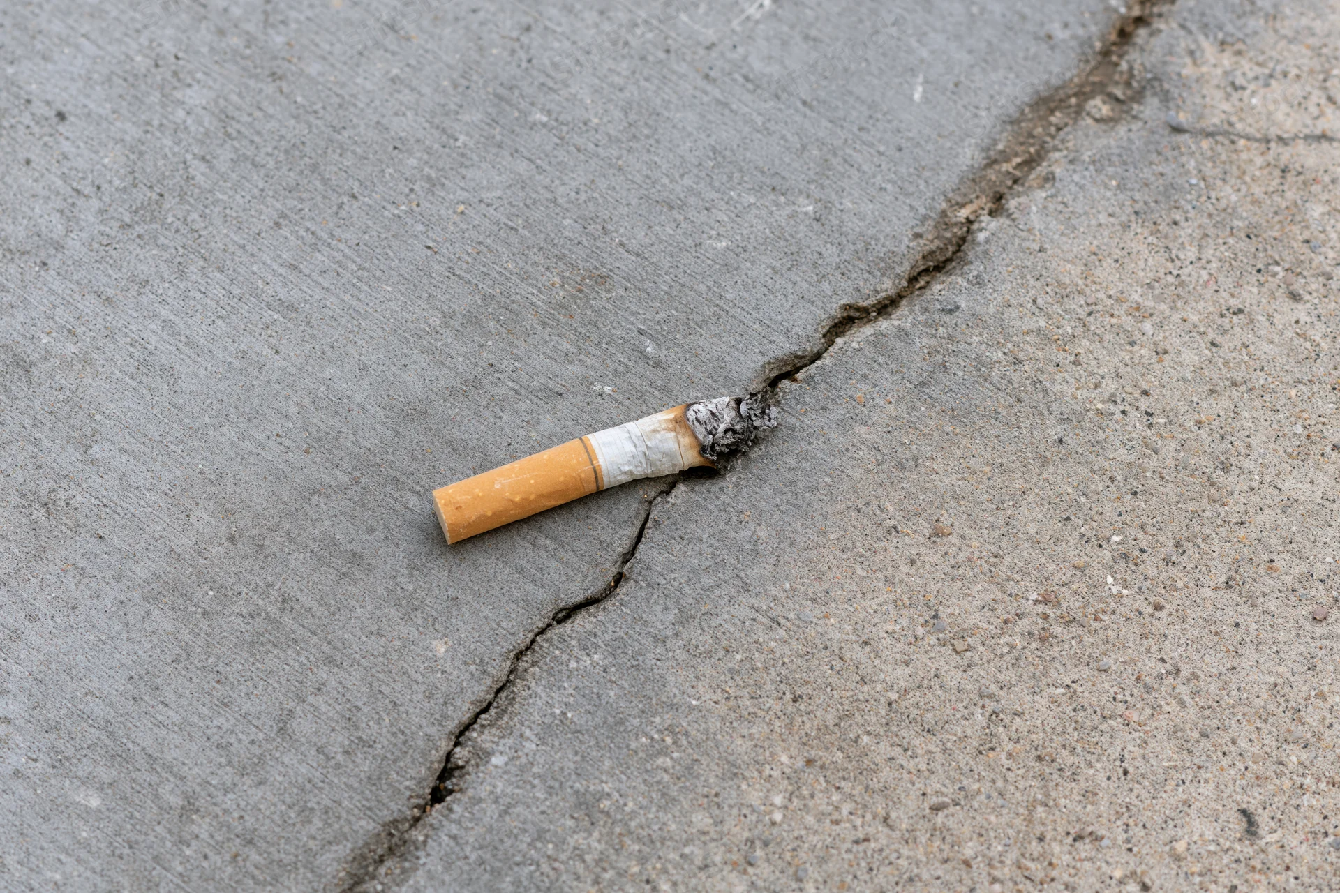 Extinguished cigarette butt lying in a crack on cracked concrete pavement