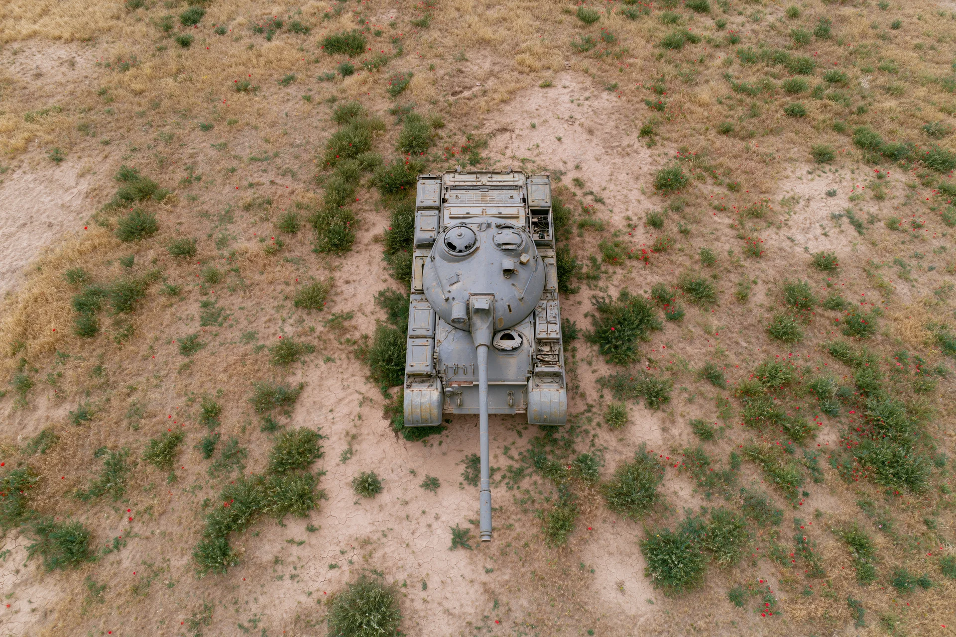 Aerial top-down view of a gray military tank on dry grassy field with scattered red poppies