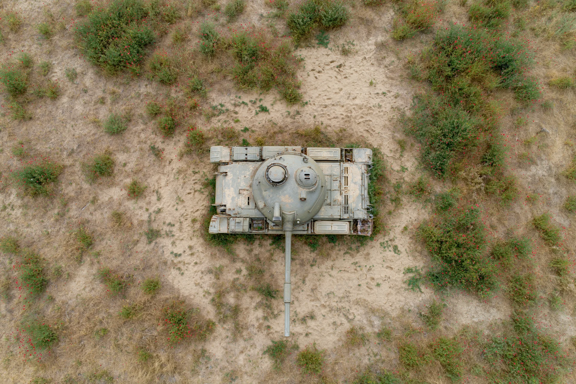 Aerial top-down view of an abandoned military tank in a dry desert landscape with sparse shrubs and wildflowers