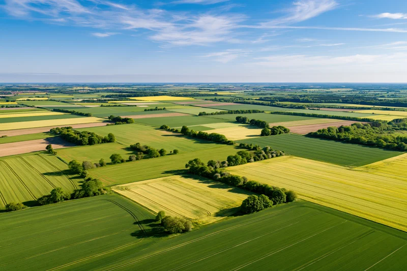 Aerial view of patchwork farmland with green and yellow fields under blue sky