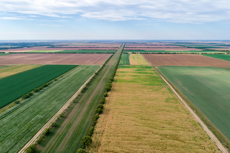 Aerial drone view of patchwork farmland with rows of crops and dirt roads under a partly cloudy sky