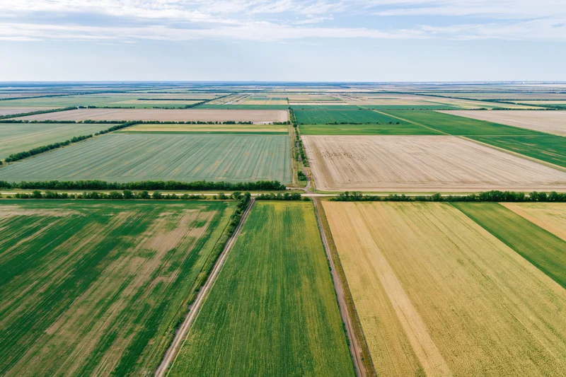 Aerial view of patchwork farmland with green and golden crops arranged in grid pattern under partly cloudy sky