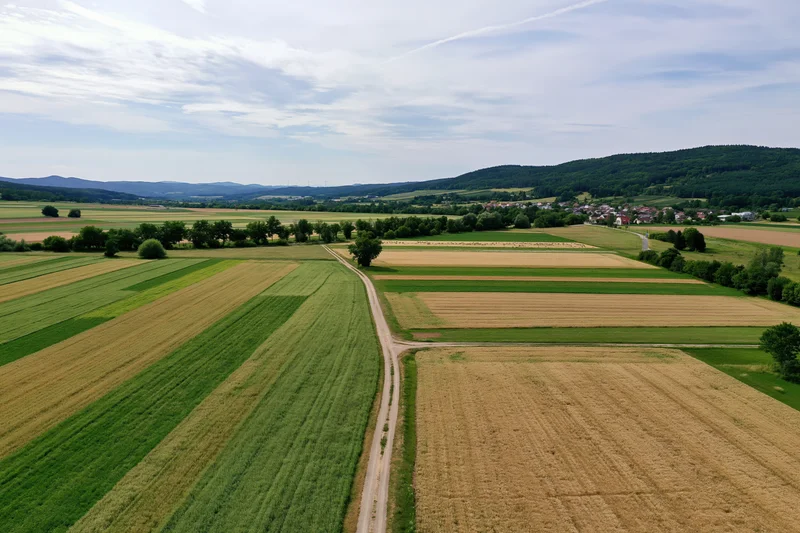 Aerial drone view of patchwork farmland with green and golden crops, winding dirt road, distant village, and rolling hills under partly cloudy sky