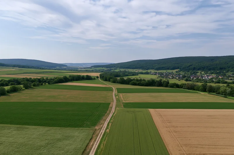Aerial drone view of patchwork farmland with green and brown fields, dirt path, trees, hills, and village in the distance